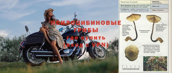spice Белокуриха