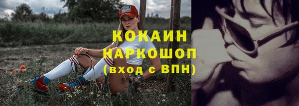 spice Белокуриха