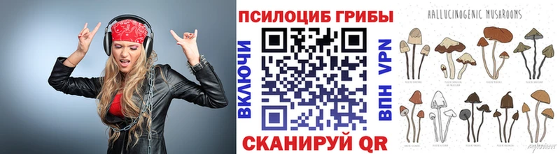 Псилоцибиновые грибы мицелий  наркошоп  Кировск 